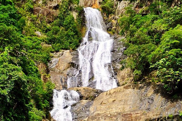 Private Half Day Tour: Exclusive World Heritage Rainforest And Waterfall Tour From Cairns - Accommodation Sunshine Coast